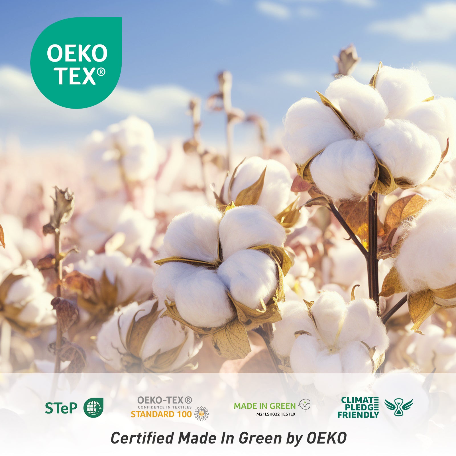 semaxetowel are very safe towels, their materials and production processes are OEKO certified.